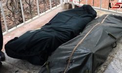 قتل زن و مرد جوان غیربومی در منزلی ویلایی در رشت