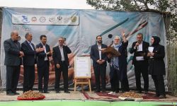 جشنواره گردوی کلور ثبت ملی شد
