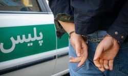 دستگیری عامل شرارت و درگیری در تالش