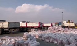 ترخیص ۲۴۰۰ تن برنج وارداتی از بندر شهید رجایی بندرعباس