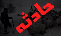 جان باختن یک دامدار در ییلاق برزیبل خطبه سرای تالش