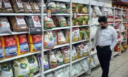 قیمت سازی در بازار برنج قابل قبول نیست