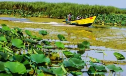 بی‌توجهی به یک ظرفیت گردشگری