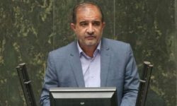 ۹۸ درصد محموله برنج وارداتی ناخالصی دارد | ۱۸ میلیون دلار ضرر واردات برنج‌های ناخالص است