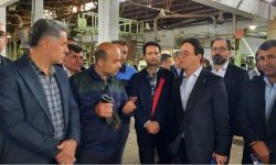 صنایع چوب اسالم باید از سیاست زدگی دور شود