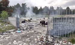 بی توجهی به مدیریت پسماند، ۵ مسئول تالش را راهی دادگاه کرد