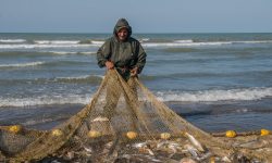 آزادسازی صید در نوار ساحلی خزر از تاریخ بیست مهر / فعالیت بیش از ۴۰۰۰ صیاد شناسنامه‌دار در گیلان
