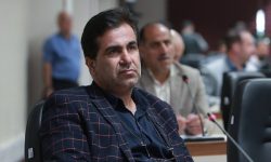 با دیپلماسی هوشمندانه می‌توان آرامش اقتصادی را به جامعه بازگرداند