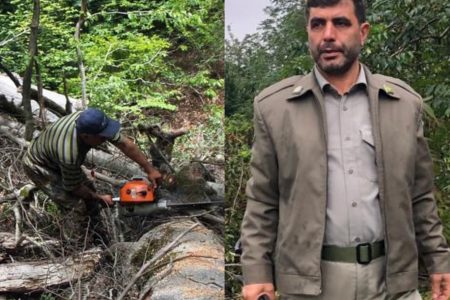 غافلگیری قاچاقچی سابقه دار قطع چوب توسط رییس اداره محیط زیست تالش