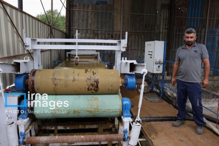 نگاهی به تهیه خمیر کاغذ از کاه و کلش برنج گیلان برای نخستین بار در ایران| فیلم