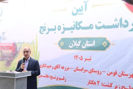 حق‌شناس: بهره‌وری، راه اقتصادی شدن تولید برنج در گیلان است