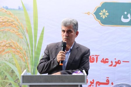 پیش‌بینی برداشت مکانیزه ۲۱۷ هزار هکتار از شالیزارهای گیلان در سال جاری