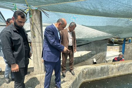 استاندار گیلان از واحد پرورش ماهیان خاویاری تالش بازدید کرد
