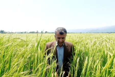 پیگیری مشکلات آبیاری شالیزارهای میانده اسالم توسط فرماندار تالش