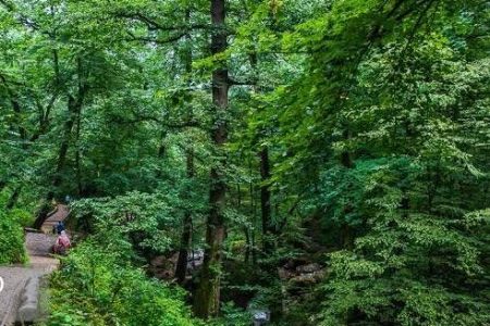 کودک گمشده عراقی در جنگل‌های قلعه‌رودخان سالم پیدا شد.