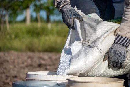 واریز یارانه کودهای کشاورزی در گیلان آغاز شد