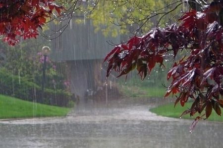 ثبت ۸۴۶ میلی‌متر بارش در گیلان؛ کاهش بارندگی نسبت به نرمال