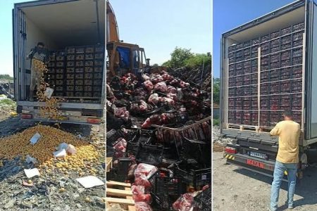 معدوم‌سازی ۴۲۰ تن محموله خوراکی فاسد در آستارا
