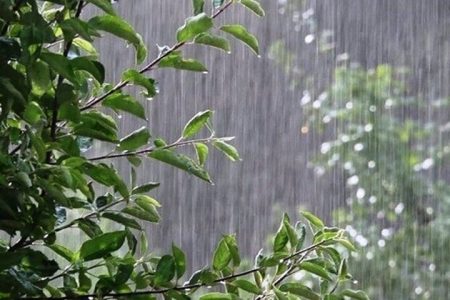 سامانه بارشی در راه گیلان؛ رگبار و کاهش دما تا یکشنبه