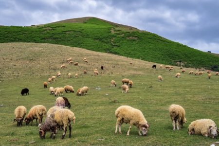 آسمان گیلان صاف تا نیمه‌ابری است