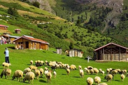 گردشگری باید در خدمت توسعه پایدار روستاها باشد